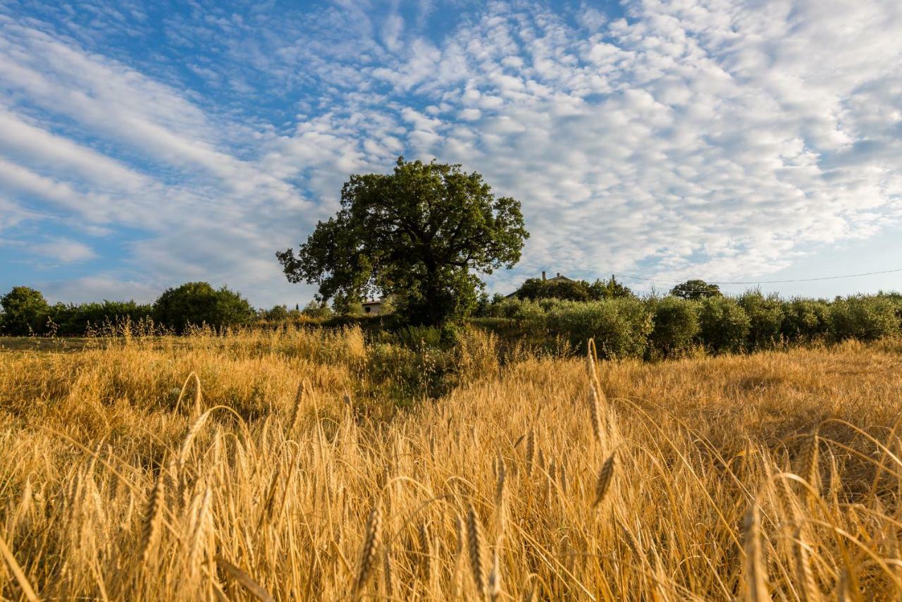 Agriturismo San Nicolo Montecastelli Pisano Luaran gambar